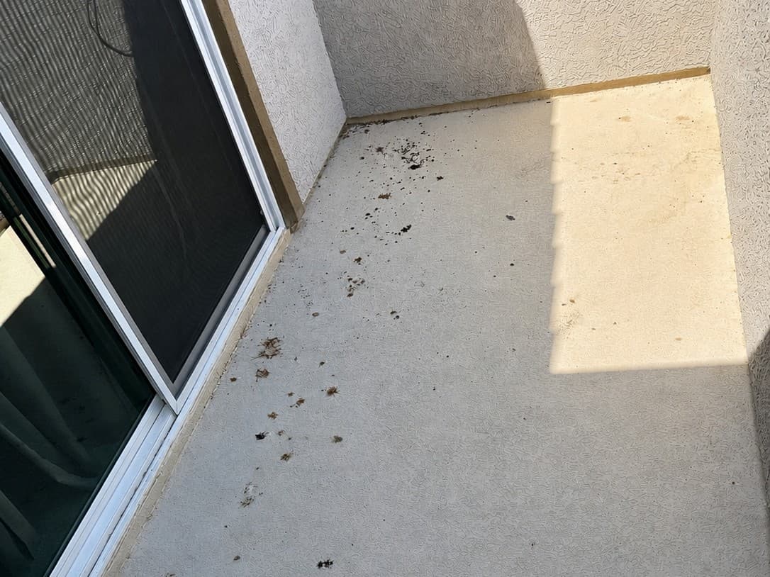 Pressure Washing — before