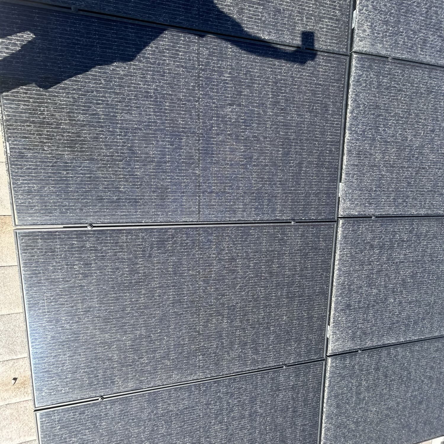 Solar Panel Cleaning — before