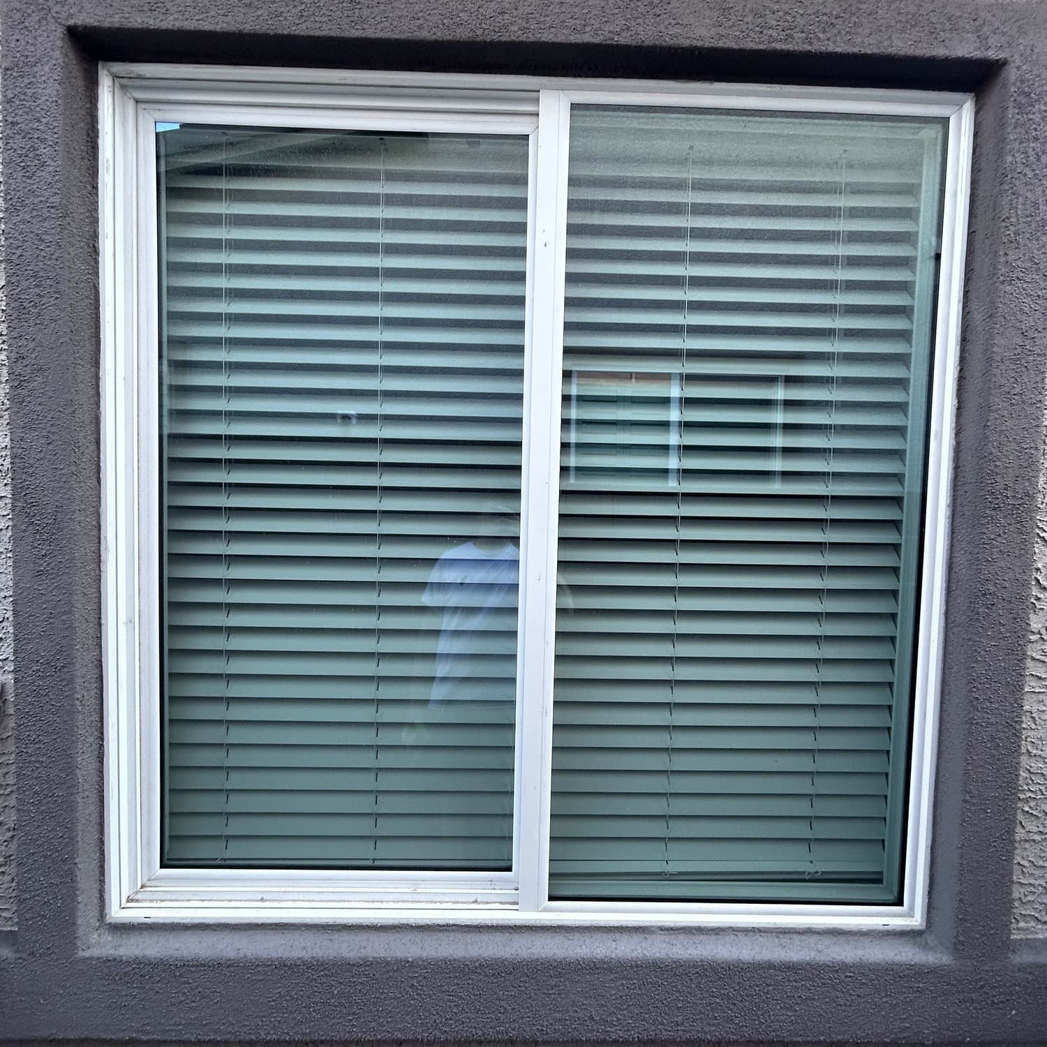 Window Washing — before